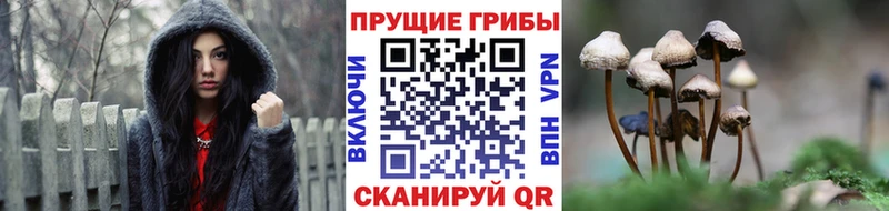 даркнет сайт  Сясьстрой  Галлюциногенные грибы ЛСД 