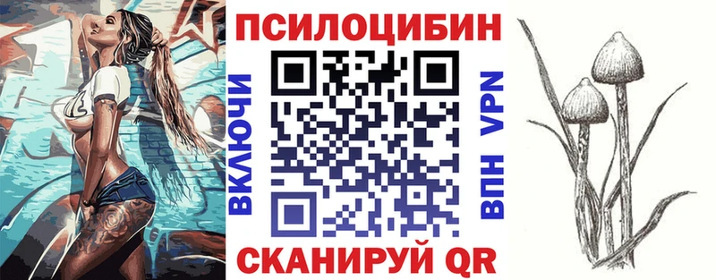 Галлюциногенные грибы Cubensis Сясьстрой