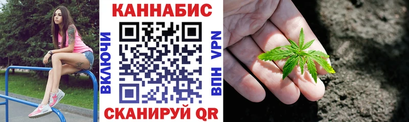 Конопля тримм  Сясьстрой 
